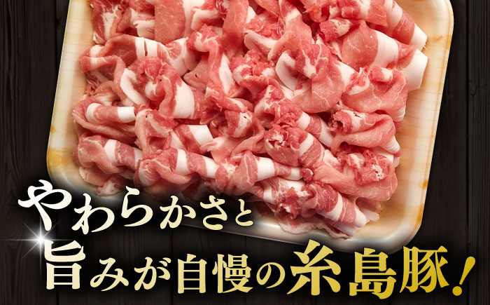 糸島豚 ロース 切り落とし 1kg 糸島市 / ヒサダヤフーズ　豚肉 豚 [AIA065]