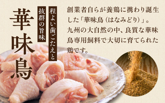 【全6回定期便】博多 華味鳥 水たき セット ( 3～4人前 ) 水炊き《糸島》【トリゼンフーズ】 [AIB011]