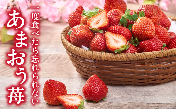 【先行予約】【全2回定期便】糸島産【春】 あまおう 4パック 計1kg 【2026年2月より順次発送】糸島市 / 南国フルーツ株式会社 [AIK026]