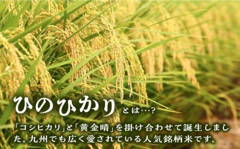 【年内発送】【令和7年産新米】 糸島産 ひのひかり 10kg 糸島市 / 三島商店 [AIM004] 米 白米