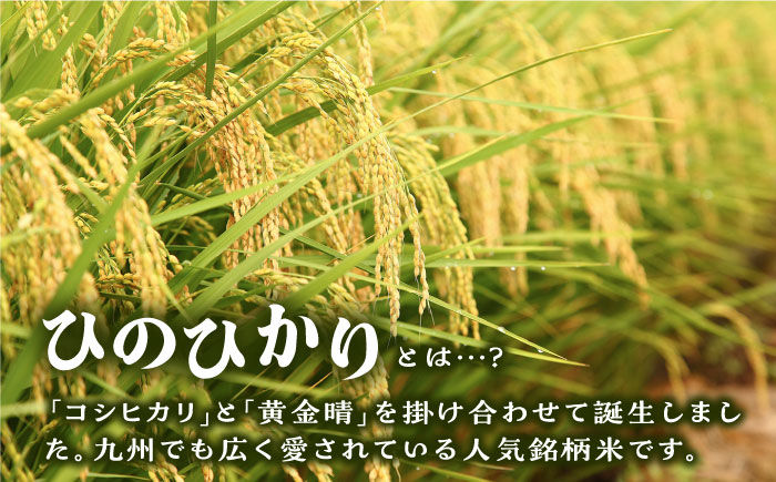 【年内発送】【令和7年産新米】糸島産 ひのひかり 20kg 糸島市 / 三島商店 [AIM075]