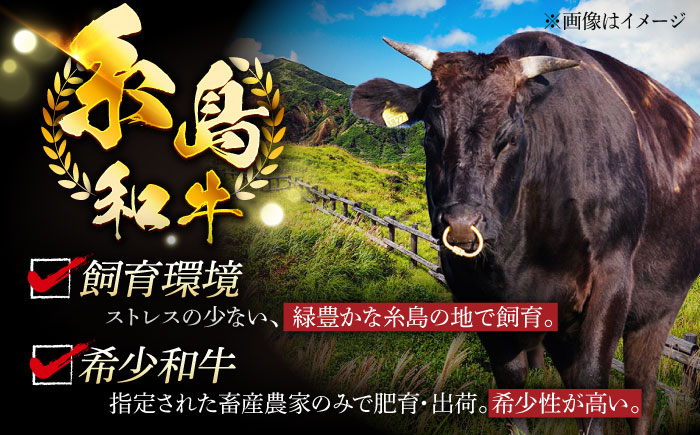 【全3回定期便】【月限定10個】希少 糸島 和牛 こまぎれ 1kg 糸島 / トラヤミートセンター [AJD011]