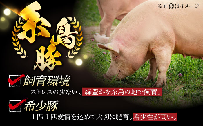 【全12回定期便】糸島 豚 バラエティ セット ( しゃぶしゃぶ / 肩ロース / とんかつ )糸島市 / トラヤミートセンター [AJD012]