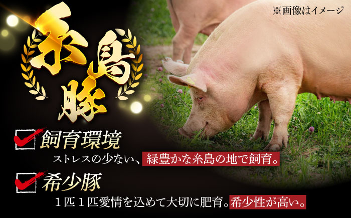 【全12回定期便】合計4.6kg！糸島豚食べ尽くしセット(とんかつ、肩ロース、しゃぶしゃぶ、豚バラ、スペアリブ、小間切れ) 糸島市 / トラヤミートセンター 豚肉 セット [AJD024]