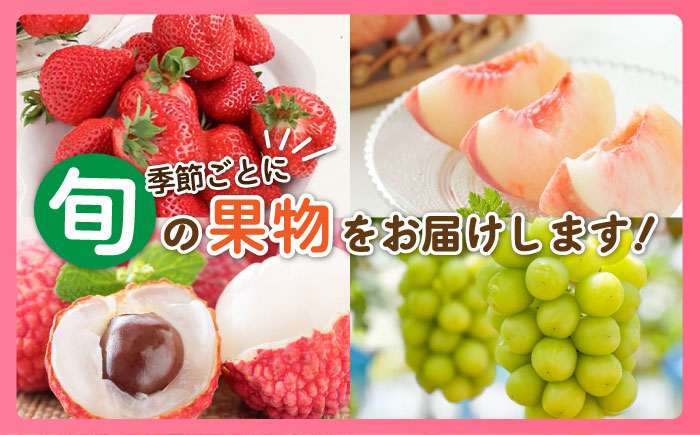 【全4回】糸島厳選くだもの定期便 約2人前 フルーツ 果物 糸島市 / やますえ あまおう シャインマスカット 桃 ライチ [AKA071]