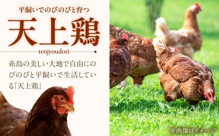 ★12回定期便★こだわりの卵「天上卵」20個セット/鶏卵/平飼い/たまご/玉子 [AKH004]