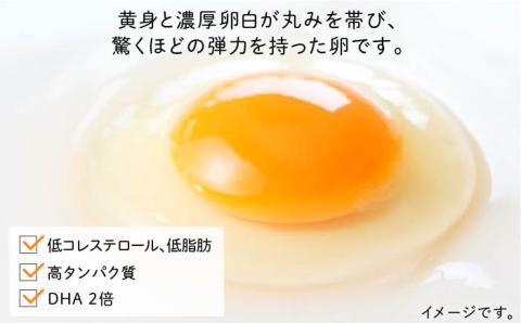 たまごかけご飯セット ★卵10個 お米5kg たまごかけご飯専用醤油★糸島ファームハウスUOVO/鶏卵/平飼い/たまご/玉子 [AKH010]