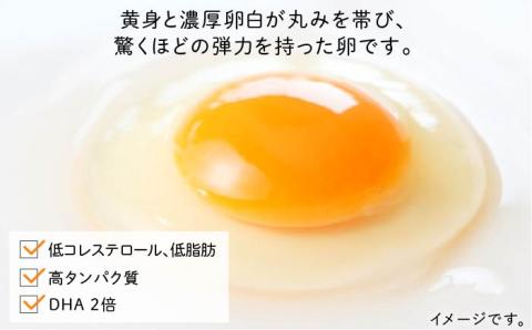 たまごかけご飯セット ★卵20個 お米2kg たまごかけご飯専用醤油★ 糸島ファームハウスUOVO/鶏卵/平飼い/たまご/玉子 [AKH011]