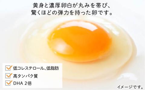 たまごかけご飯セット ★卵20個 お米5kg たまごかけご飯専用醤油★糸島ファームハウスUOVO/鶏卵/平飼い/たまご/玉子 [AKH012]