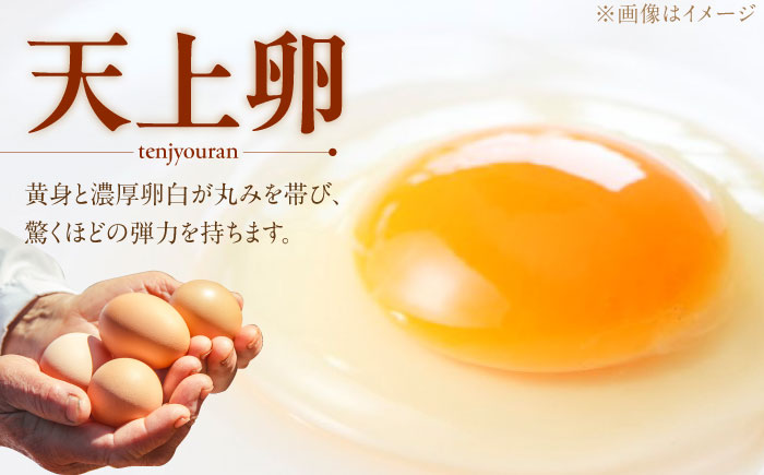 キミとプリン カフェオレ ◆ 6個 セット ◆ 《糸島市》 【株式会社おおはまファーム】 [AKH014]