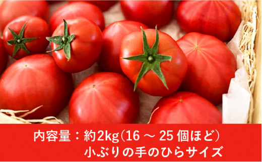 樹上でポーッと熟れた 甘～い トマト 2kg 《糸島》 【松尾農園】 [AKI001]