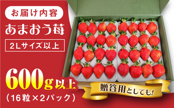 【先行予約】【化粧箱】あまおう いちご 600g以上 【2026年1月以降順次発送】 糸島市 / 株式会社フルコンス [ALO001]