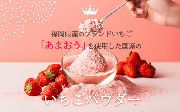 福岡県産あまおうパウダー 100ｇ いちご 粉末 製菓 糸島市 / 株式会社フルコンス [ALO002]