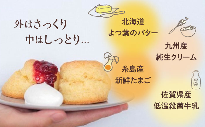 【年内発送】スコーン 6袋 セット ( 5種 / 6袋 計12個 ) 糸島市 / フルーレ [AME015]