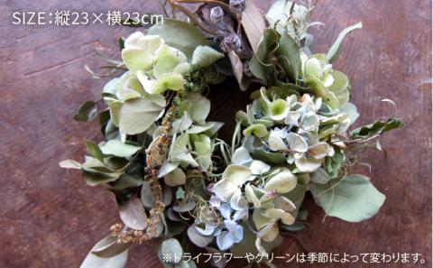 ドライフラワーリース ≪糸島≫【PLAISIR】花/部屋飾り/装飾/緑/インテリア/アレンジメント [ANC001]