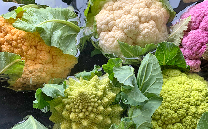 糸島産 季節 の 野菜 詰め合わせ （ おまかせ 10品 以上 ）《糸島》【ひめしま渡船直売所】 [ANJ001]