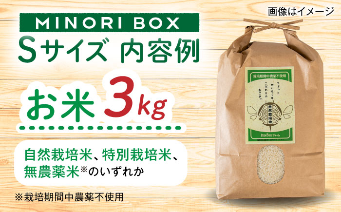 【全4回定期便 令和7年産新米】糸島産 魚 米 野菜 果物 厳選詰め合わせ MINORI BOX Sサイズ【季節ごとに年4回お届け】　糸島市 / emma.Inc / 米 魚 野菜 詰め合わせ [AOP004]