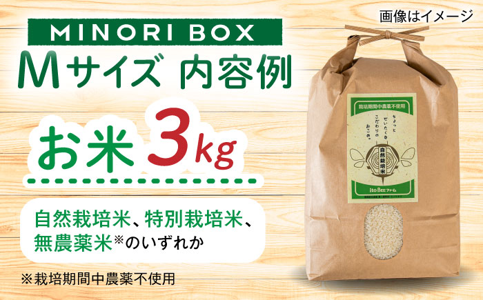 【全4回定期便 令和7年産新米】糸島産 魚 米 野菜 果物 厳選詰め合わせ MINORI BOX Mサイズ【季節ごとに年4回お届け】 糸島市 / emma.Inc / 米 魚 野菜 果物 詰め合わせ [AOP005]