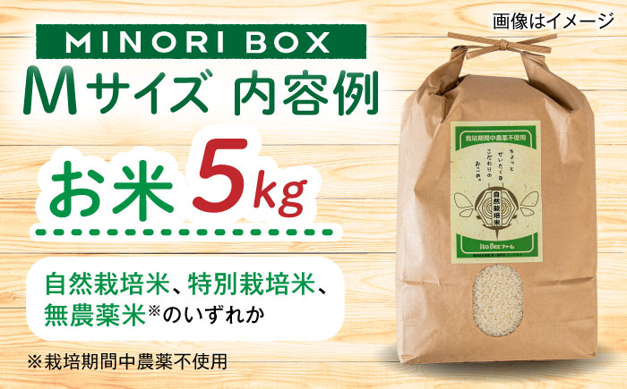【年内発送】糸島産 肉 米 野菜 果物 厳選詰め合わせ MINORI BOX Mサイズ 糸島市 / emma.Inc / 米 肉 野菜 果物 詰め合わせ [AOP011]