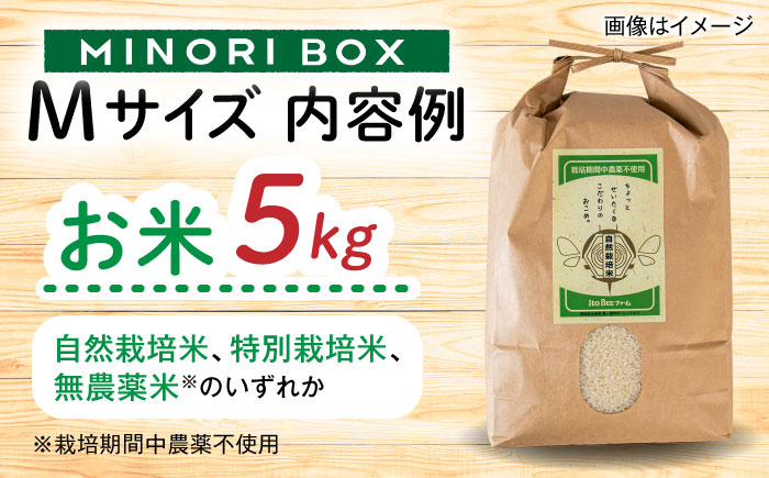 【全6回定期便】糸島産 肉 米 野菜 果物 厳選詰め合わせ MINORI BOX Mサイズ 糸島市 / emma.Inc / 米 肉 野菜 果物 詰め合わせ [AOP013]