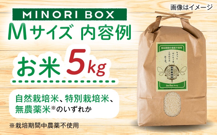 【全12回定期便】糸島産 肉 米 野菜 果物 厳選詰め合わせ MINORI BOX Mサイズ 糸島市 / emma.Inc / 米 肉 野菜 果物 詰め合わせ [AOP014]