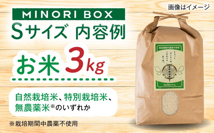 【年内発送】糸島産 魚 米 野菜 果物 厳選詰め合わせ MINORI BOX Sサイズ 糸島市 / emma.Inc / 米 魚 野菜 詰め合わせ [AOP019]