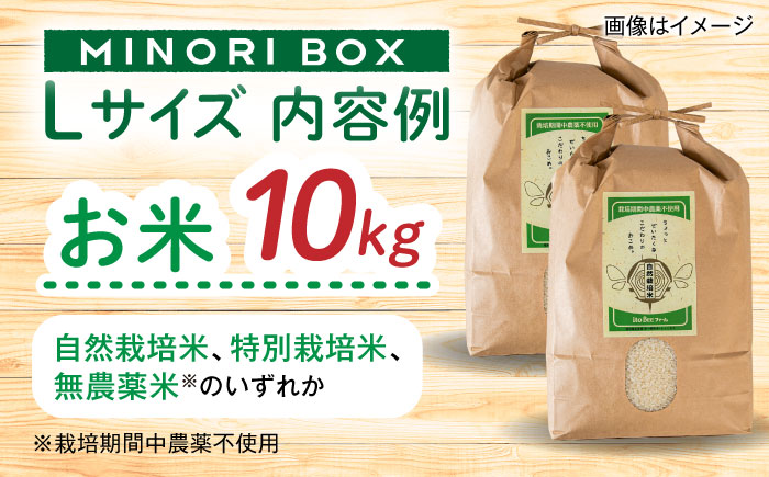 【全6回定期便】糸島産 魚 米 野菜 果物 厳選詰め合わせ MINORI BOX Lサイズ 糸島市 / emma.Inc / 米 魚 野菜 果物 詰め合わせ [AOP029]