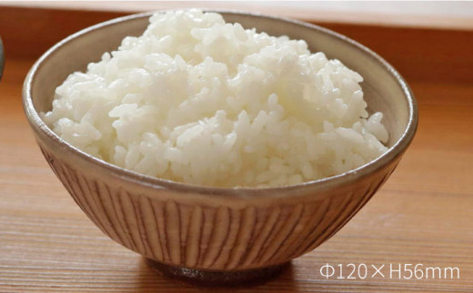 粉引 しのぎ 飯碗 《糸島》【高麗窯】 【いとしまごころ】[AOZ006]