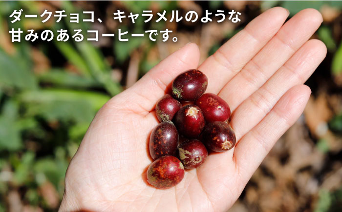 【年内発送】深煎りコーヒー豆 250g×2袋 （豆・粉選べます） エルサルバドル産 エルタンボール農園 ブルボン種 パルプドアンドディスムシラージ 糸島市 / COFFEE UNIDOS [AQF008]