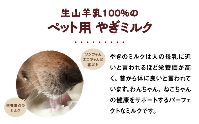 【全3回定期便】添加物 不使用 ！ やぎミルク ペット用 150ml ( 8本 ) 糸島市 / 株式会社Perignon [ARH009]