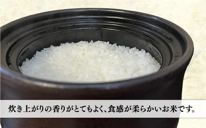【年内発送】【令和7年産新米】伊都の米 5kg 糸島市 / 納富米穀店 [ARL001] 白米 米