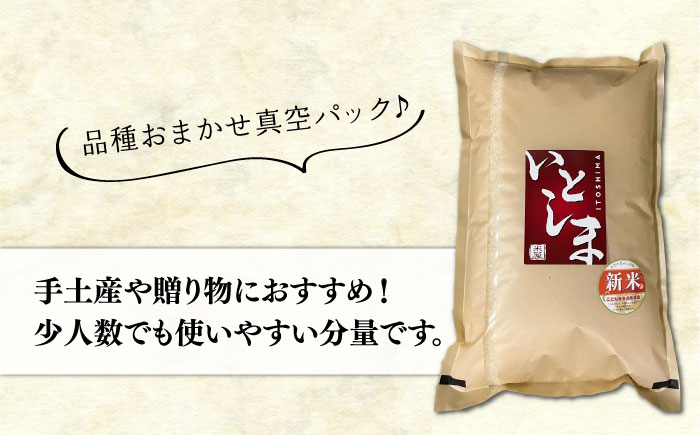 【年内発送】【令和7年産新米】【長期保存可能】 五ツ星お米マイスターが厳選 品種おまかせ 白米 5kg 糸島市 / 納富米穀店 [ARL005]