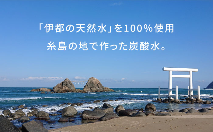＼2週間以内に発送／強炭酸水 1.5L×8本 糸島市 / スターナイン 炭酸水 大容量 [ARM001] 強炭酸 炭酸水 無糖 ノンシュガー まとめ買い 箱買い  すぐ届く