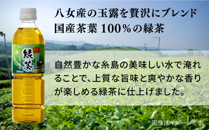 【全12回定期便】八女 玉露入り 緑茶 500ml × 24本 糸島市 / スターナイン お茶 ペットボトル [ARM017] ソフトドリンク おちゃ まとめ買い 箱買い
