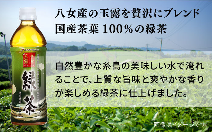 八女 玉露入り 緑茶 500ml × 48本 糸島市 / スターナイン [ARM025]  お茶 ペットボトル