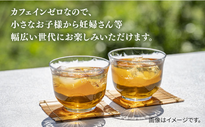 麦茶 600ml × 48本 糸島市 / スターナイン [ARM026] お茶 ペットボトル