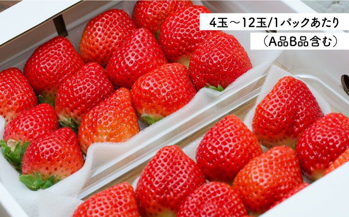 【全2回定期便】 糸島の美味い あまおう 270g × 2パック (A品B品含む3L～5L) 糸島市 / 磯本農園 / TANNAL いちご [ATB026]