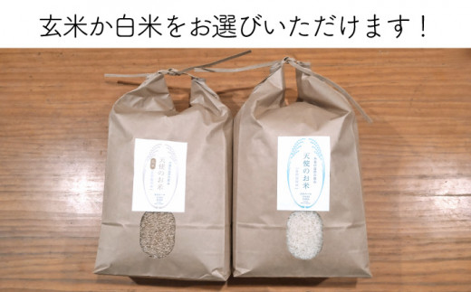 ＼令和6年産／自然栽培 ヒノヒカリ 20kg 《糸島》【大石ファーム】 [ATE003]