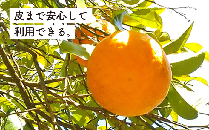 【先行受付】甘夏 10kg 【2026年3月下旬以降順次発送】【 農薬 ・ 化学肥料不使用 】糸島市 / 大石ファーム[ATE004]