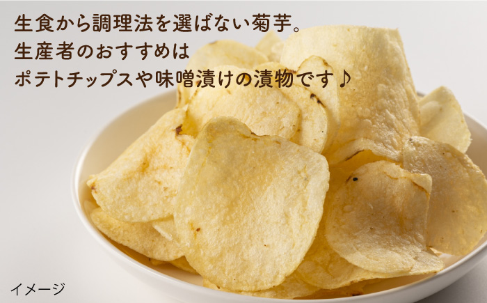【先行受付】糸島産 菊芋 5kg 【2025年12月以降順次発送】自然栽培  糸島市 / 大石ファーム [ATE008]