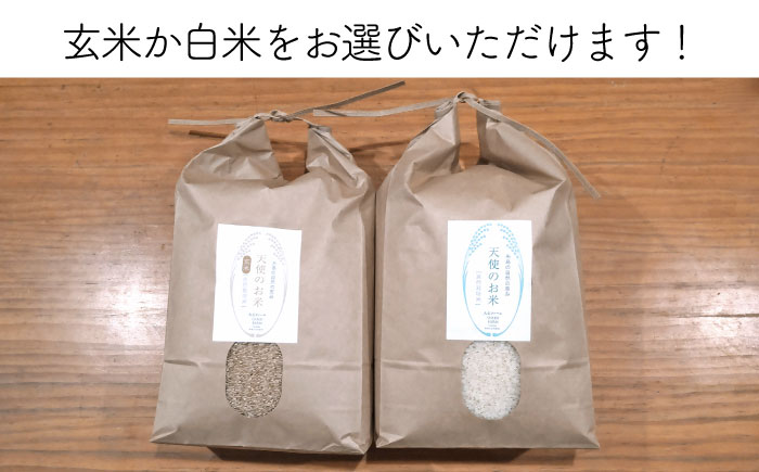 【令和7年産新米】【玄米】【全3回定期便】自然栽培ヒノヒカリ10kg《糸島》【大石ファーム】 [ATE020-1] 玄米