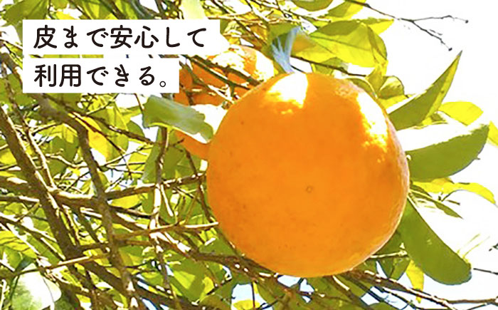 【先行受付】甘夏 5kg 【2026年3月下旬以降順次発送】【栽培期間中農薬・化学肥料不使用】 糸島市 / 大石ファーム [ATE044]