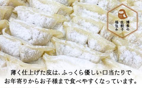 博多の生餃子福包み（50個入り×2袋）≪糸島市≫【福包み】餃子/生餃子/華豚 [AUI002]