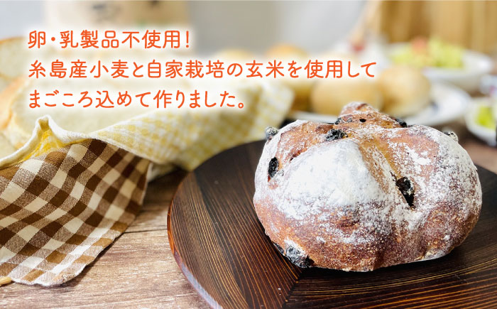 【卵・乳製品不使用】玄米 パン詰め合わせ 4種セット《糸島》【天然パン工房楽楽】 【 いとしまごころ】 [AVC058]