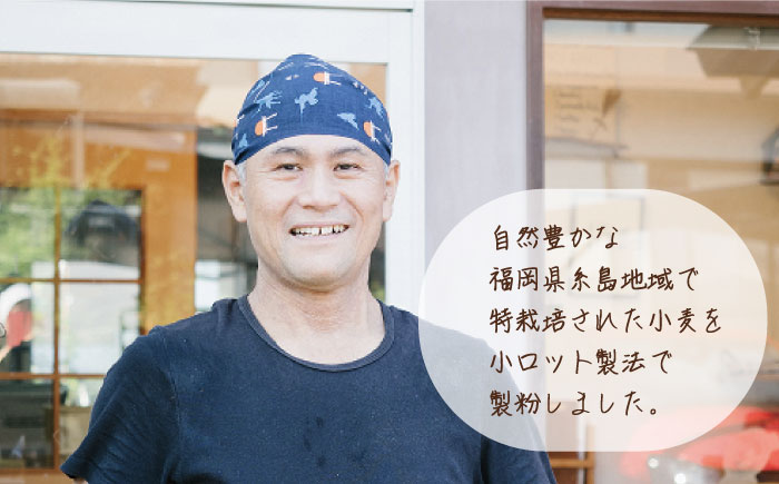 【業務用】伊都のかおり（中力粉）10kg《糸島》【天然パン工房楽楽】【いとしまごころ】 [AVC063]