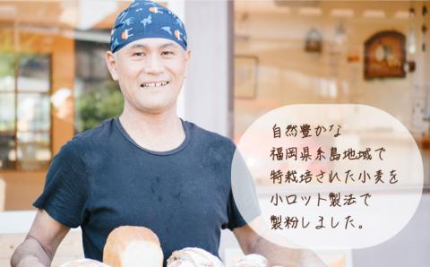 【業務用】伊都のみのり（強力粉）10kg《糸島》【天然パン工房楽楽】【いとしまごころ】 [AVC064]