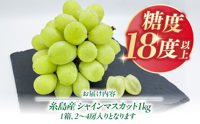 【先行受付】【糖度18度以上】 糸島産 シャインマスカット 1kg 【2026年8月中旬より順次発送】 糸島市 / 和饗エコファーム フルーツ 果物 [AVI006]