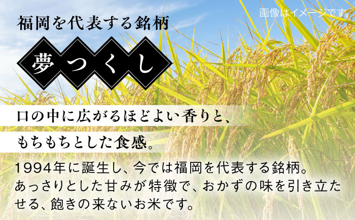 【こだわり精米】【令和6年産】 糸島産 夢つくし 20kg(5kg×4) 糸島市 / RCF 米 お米マイスター [AVM009] 米 白米 夢つくし ごはん 飯 おにぎり こめ コメ ご飯