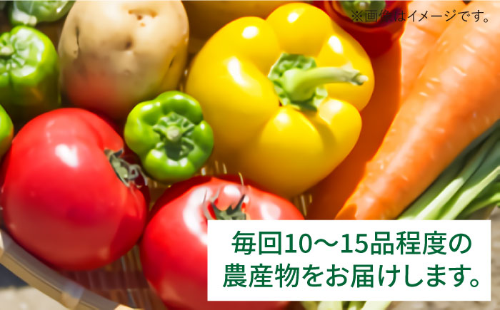 【全3回定期便】福岡県糸島産 旬の野菜盛り合わせセット [AWC007]