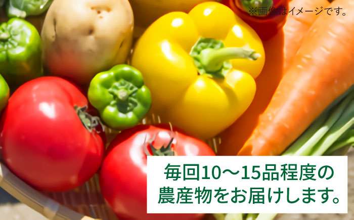 【全6回定期便】福岡県糸島産 旬の野菜盛り合わせセット [AWC008]